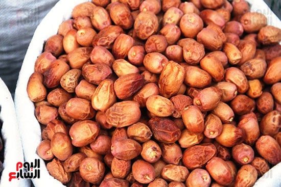 بلح-أسوان بلح-أسوان