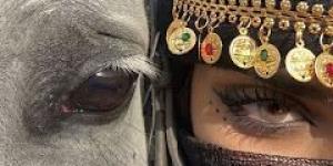رواية فدى سكينة الفصل العاشر 10 بقلم زينب سمير