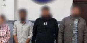 الداخلية تكشف كذب ادعاء سيدة بمحاولة اختطافها وقتلها بالإسكندرية :اليوم السابع