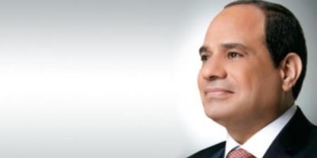 فخامة الرئيس للمصريين: وعيكم وصمودكم وتماسككم الحصن المنيع لمواجهة محاولات هدم الدولة :اليوم السابع