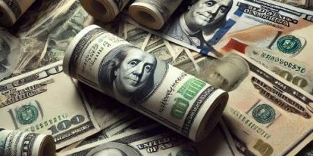 استقرار سعر الدولار في البنوك المصرية مع بداية تعاملات الأسبوع