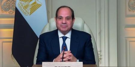 فخامة الرئيس السيسي: مصر تحترم حق دول حوض النيل في التنمية وتدعمه عمليا :اليوم السابع
