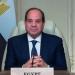 فخامة الرئيس السيسي: مصر تحترم حق دول حوض النيل في التنمية وتدعمه عمليا :اليوم السابع