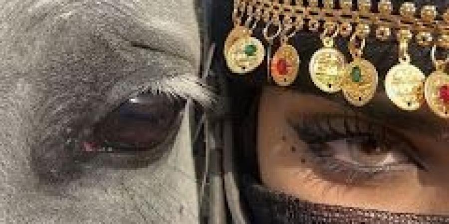 رواية فدى سكينة الفصل العاشر 10 بقلم زينب سمير