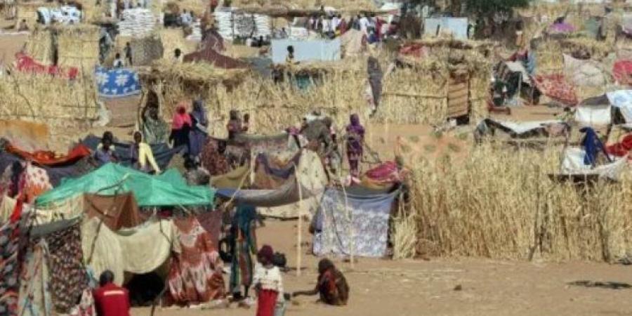 والي شمال دارفور: تدهور كبير للأوضاع الإنسانية ونقص حاد في الغذاء