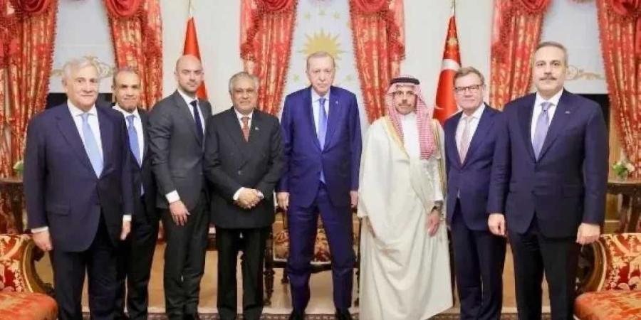 بتكليف من الرئيس السيسي.. وزير الخارجية يلتقي أردوغان في إسطنبول لبحث خفض التصعيد الإقليمي