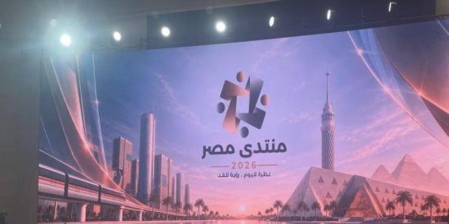 نائب: مخرجات منتدى مصر تعكس الرهان على رعاية الشباب من أجل بناء المستقبل :اليوم السابع