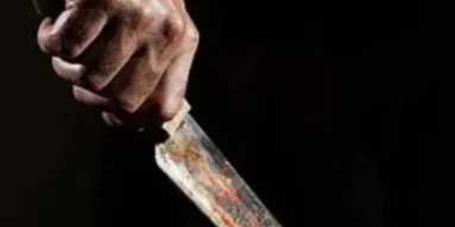 طالب قتل زميله بسبب خلاف على طير حمام في كفر الشيخ