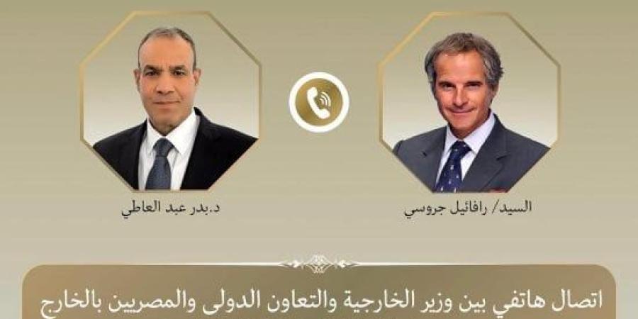وزير الخارجية يؤكد لمدير الوكالة الدولية للطاقة الذرية رفض الحلول العسكرية للأزمة الراهنة :اليوم السابع
