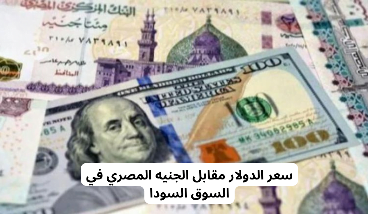 سعر الدولار اليوم