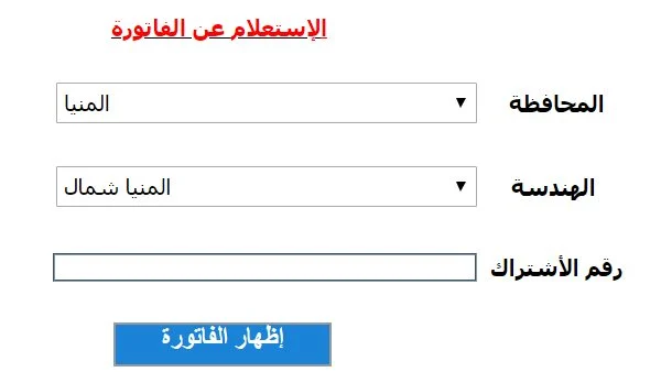 “سدد الآن” خطوات الاستعلام عن فاتورة الكهرباء شهر يناير 2024 من خلال موقع الشركة القابضة للكهرباء