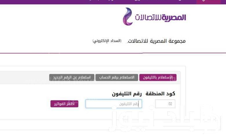 سددها قبل تطبيق الغرامه.. تعرف على الاستعلام وخطوات دفع فاتورة التليفون الأرضي 2024