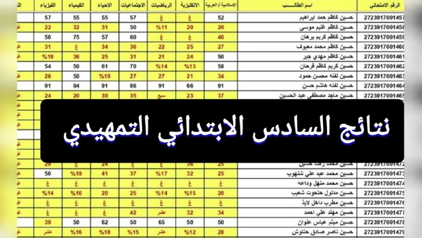 اعرف نتيجتك قبل أي حد .. رابط نتائج السادس الابتدائي التمهيدي 2024 بالخطوات