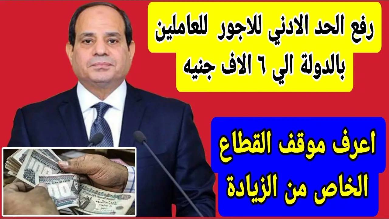 الشركات المستثناة من زيادة الحد الأدنى للأجور