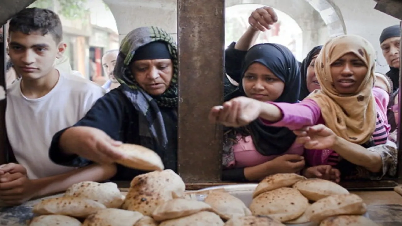 “أخيرًا خبر هيفرح مصريين كتير” .. أسعار العيش السياحي بالأسواق وسغر الدقيق تبعًا لرئيس شعبة المخابز