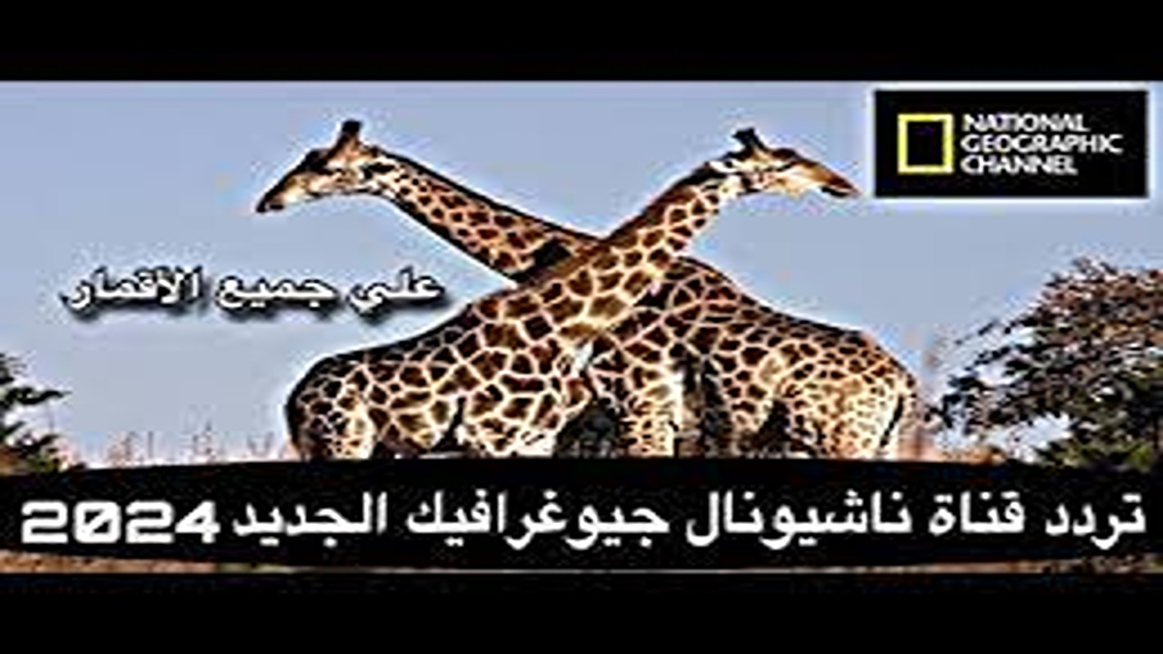 تردد قناة ناشيونال جيوغرافيك