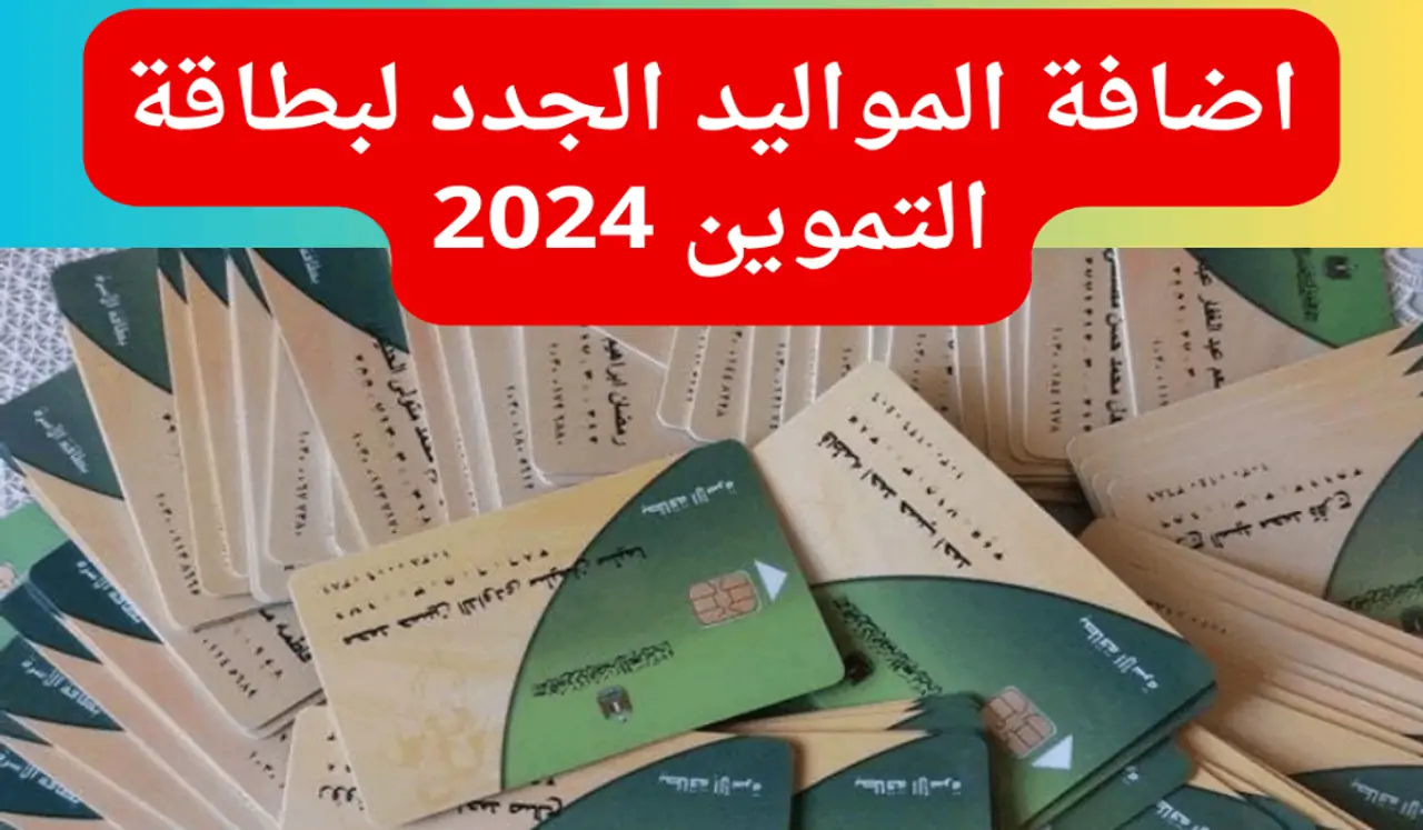 “ضيف عيالك” .. كيفية إضافة المواليد الجدد على بطاقات التموين 2024 عبر موقع دعم مصر