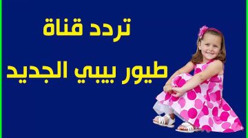 “العيال عايزة تتابعها 24 ساعة” .. تردد قناة طيور بيبي الجديد والمحتوى الذي تعرضه بأعلى جودة 2024