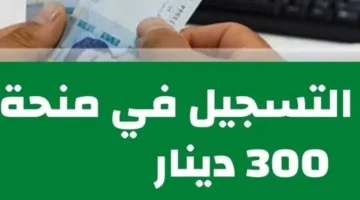 “سجل حالًا الحق الفرصة” .. رابط التسجيل في منحة 300 دينار تونسي 2024 عبر موقع وزارة الشؤون التونسية الرسمي