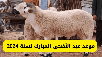 “جهز الأضاحي” تم تحديد موعد عيد الأضحى المبارك 2024 فلكياً في مصر والدول الأسلامية