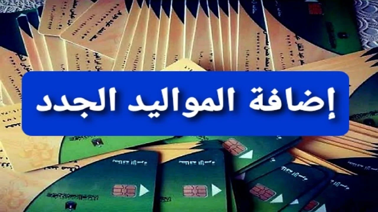 “الحق الفرصة” .. إضافة المواليد الجدد فى التموين إلكترونيًا من مصر الرقمية والمستندات المطلوبة