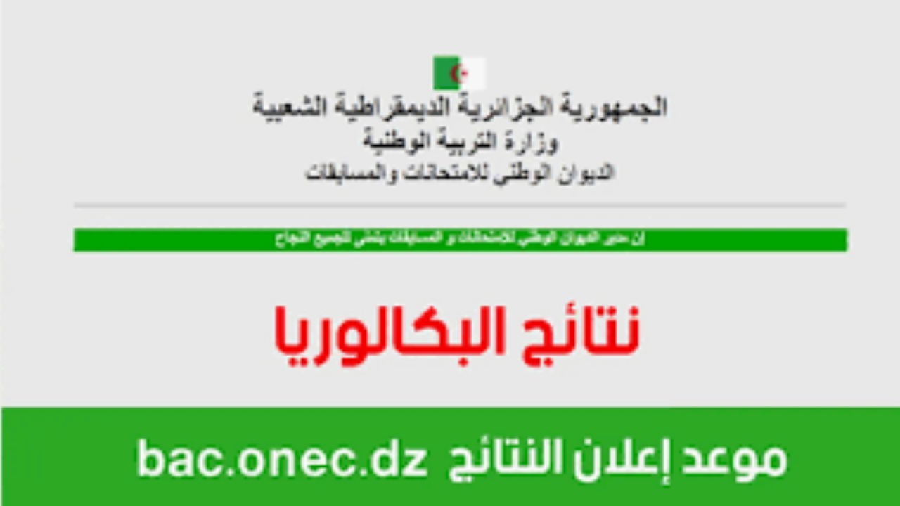 “استعلم الآن” .. نتائج البكالوريا سوريا 2024 عبر موقع الوزارة الرسمي وكيفية الحصول عليها أون لاين