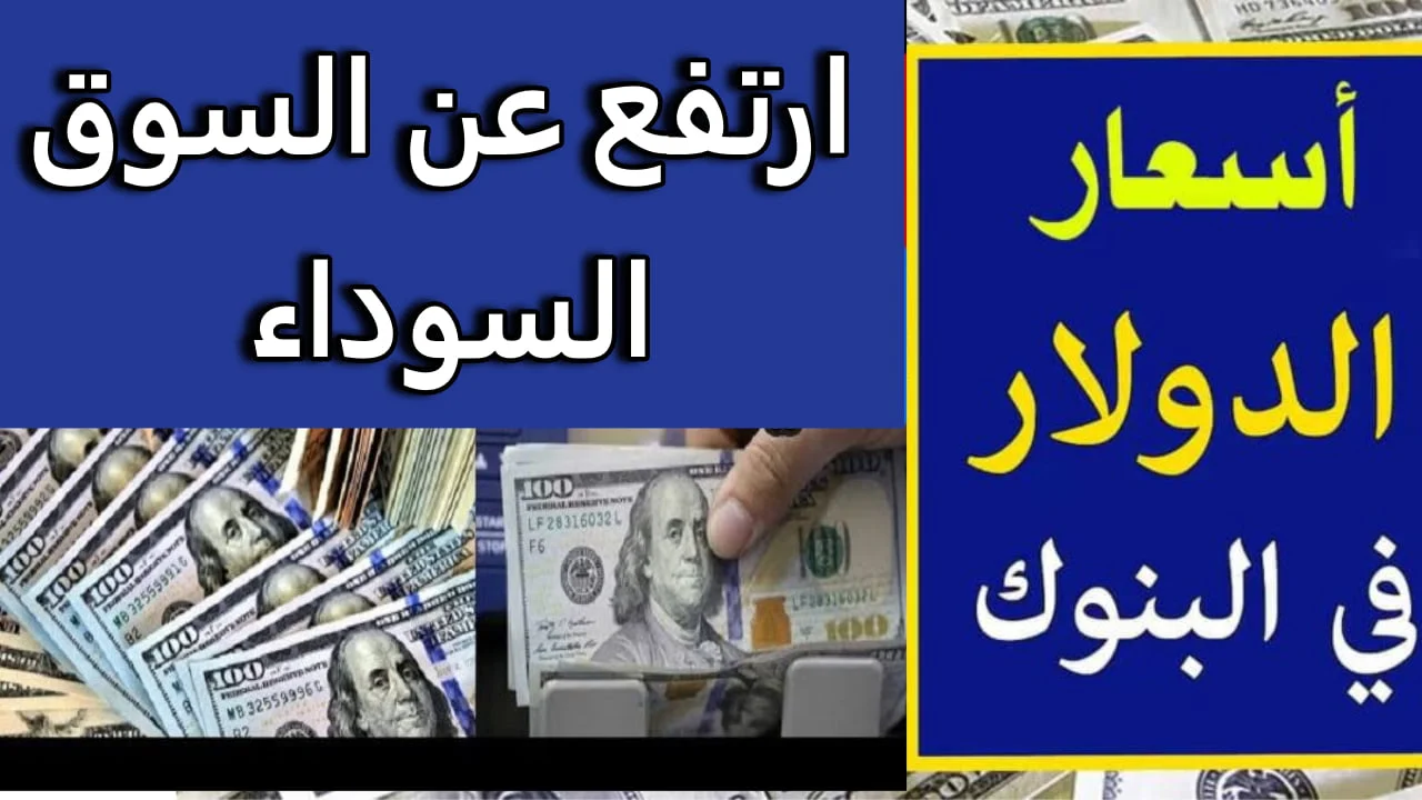 أسعار العملات في السوق السوداء اليوم في مصر