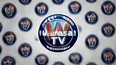 Wanasah TV channel logo 2026
