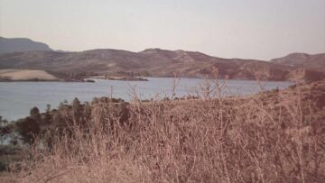 أحلي رسوم متحركة على شاشتك.. تردد قناة بوميرانغ 2026 على النايل سات بجودة HD