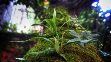 استعد معنا لمغامرات لا تنسى مع شخصيات قناة سبيستون على ميد ايجيبت