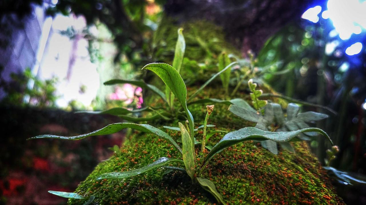 استعدوا لمغامرات خيالية: ميد ايجيبت تحتضن شخصيات سبيستون المحبوبة بتجربة استثنائية