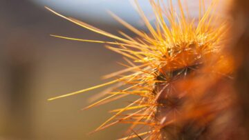 جدّد فرحة أولادك مع تردد قناة براعم 2026 الجديد على النايل سات بجودة HD