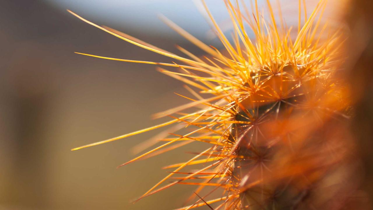 جدّد فرحة أولادك.. تردد قناة براعم 2026 الجديد على النايل سات بجودة HD